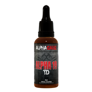 Alpha 19 TD